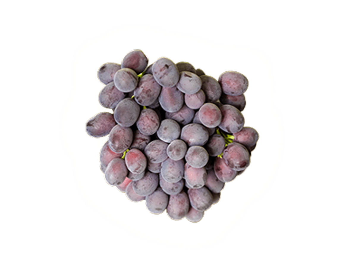Fresh Molly Pop cotton candy grapes